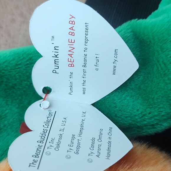 Pumpkin 🎃 Ty - Picture 8 of 10